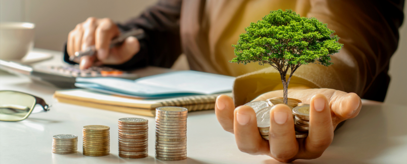 best investment options